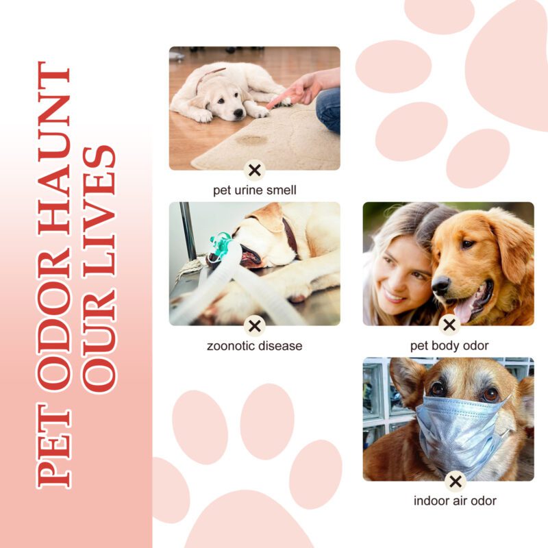 Yegbong Pet Deodorant Spray for Cats and Dogs: Long-Lasting Fragrance & Odor Eliminator - Image 3