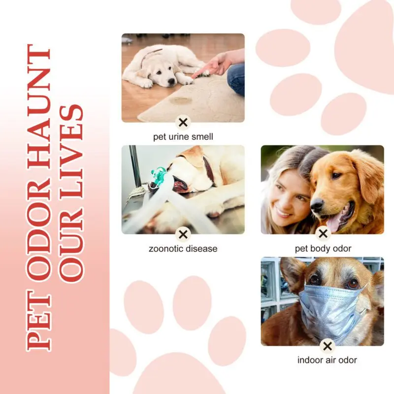 Yegbong Pet Deodorant Spray for Cats and Dogs: Long-Lasting Fragrance & Odor Eliminator - Image 3