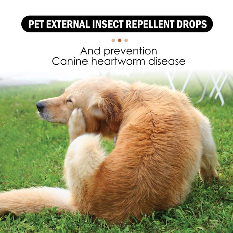 Yegbong Flea & Tick Repellent Drops for Dogs & Cats - Prevent Infestations - Image 3