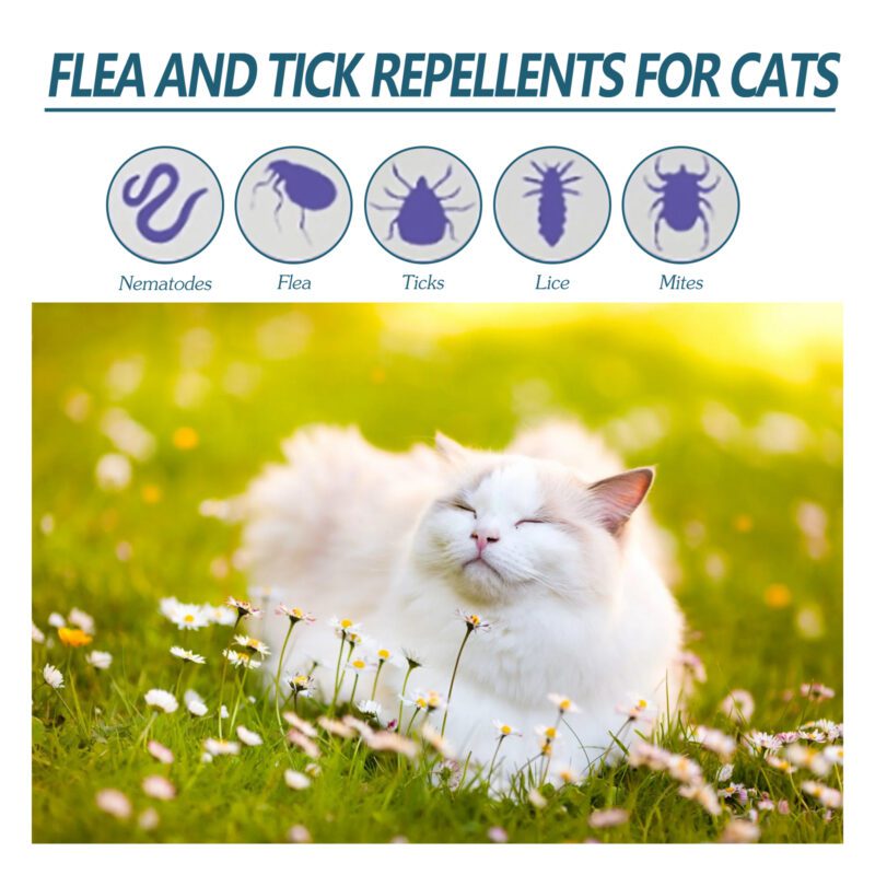Yegbong Pet Flea & Tick Defense Drops - Natural Topical Treatment for Cats & Dogs - Image 3