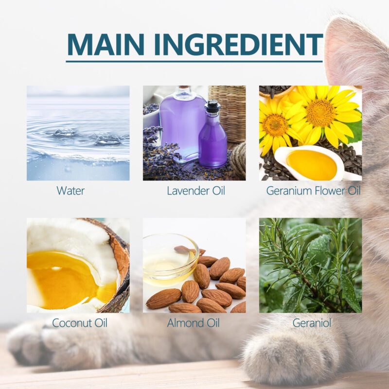 Yegbong Pet Flea & Tick Defense Drops - Natural Topical Treatment for Cats & Dogs - Image 5