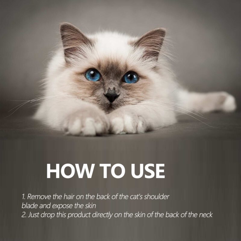 Yegbong Pet Flea & Tick Defense Drops - Natural Topical Treatment for Cats & Dogs - Image 6