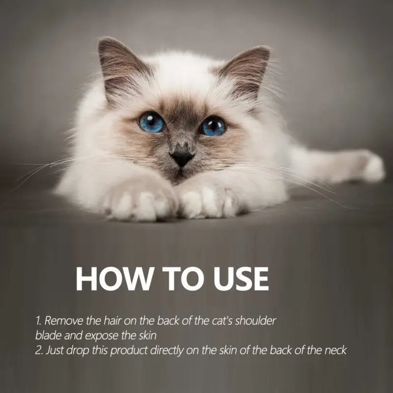 Yegbong Pet Flea & Tick Defense Drops - Natural Topical Treatment for Cats & Dogs - Image 6