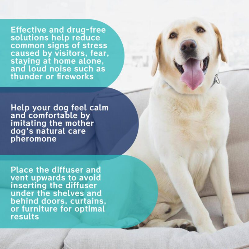 Yegbong Dog Calming Liquid: Help Reduce Anxiety and Stress for Comfort - Image 4