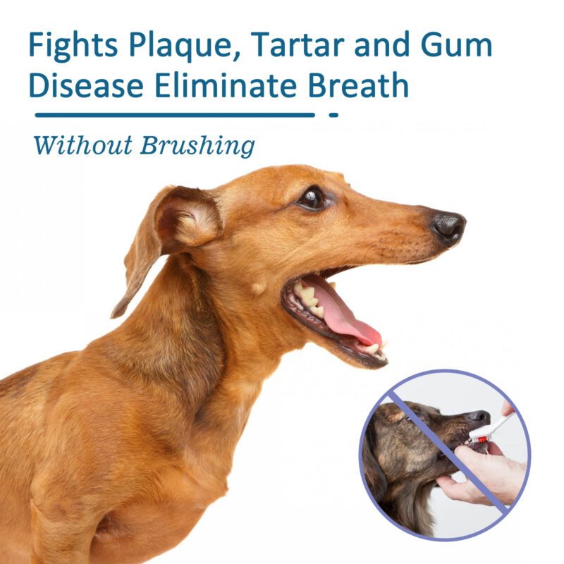 Yegbong Pet Oral Care Spray for Cats & Dogs - Tartar Control, Bad Breath Freshener, Mouth Cleaning - Image 3
