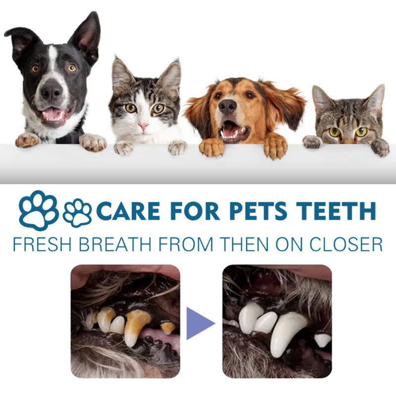 Yegbong Pet Oral Care Spray for Cats & Dogs - Tartar Control, Bad Breath Freshener, Mouth Cleaning - Image 4