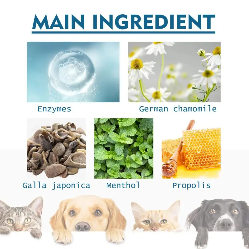 Yegbong Pet Oral Care Spray for Cats & Dogs - Tartar Control, Bad Breath Freshener, Mouth Cleaning - Image 5