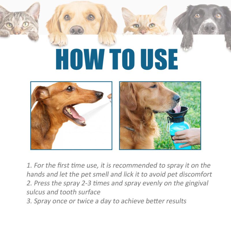 Yegbong Pet Oral Care Spray for Cats & Dogs - Tartar Control, Bad Breath Freshener, Mouth Cleaning - Image 6