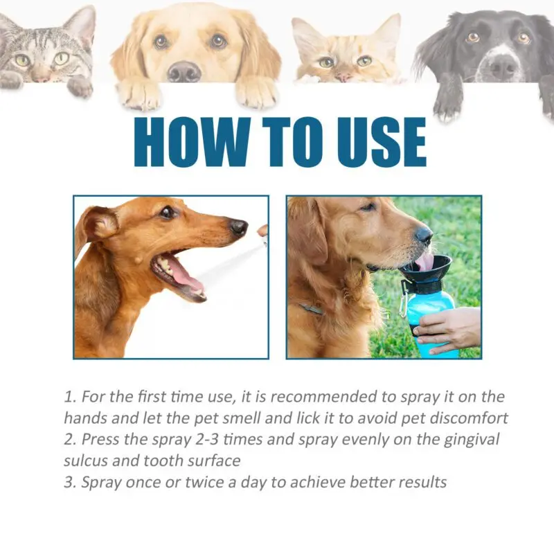 Yegbong Pet Oral Care Spray for Cats & Dogs - Tartar Control, Bad Breath Freshener, Mouth Cleaning - Image 6