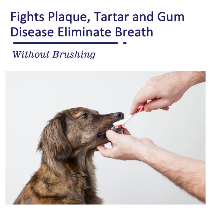 Yegbong Pet Dental Cleaning Cream: Fights Bad Breath, Tartar & Whitening for Cats & Dogs - Image 3