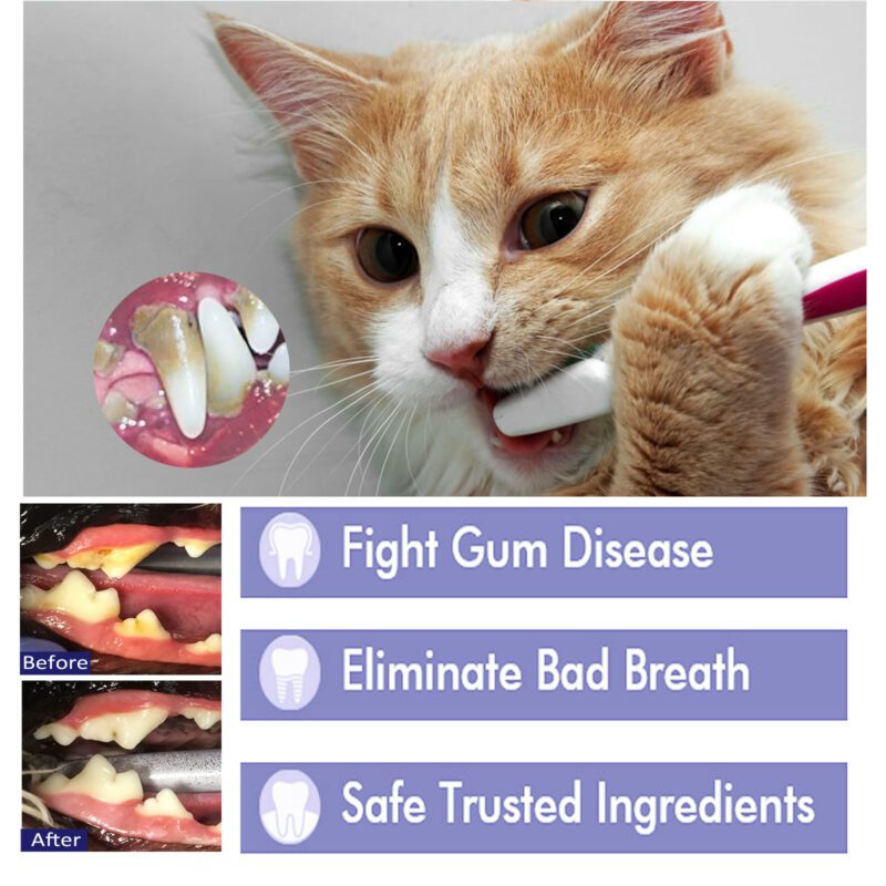 Yegbong Pet Dental Cleaning Cream: Fights Bad Breath, Tartar & Whitening for Cats & Dogs - Image 4