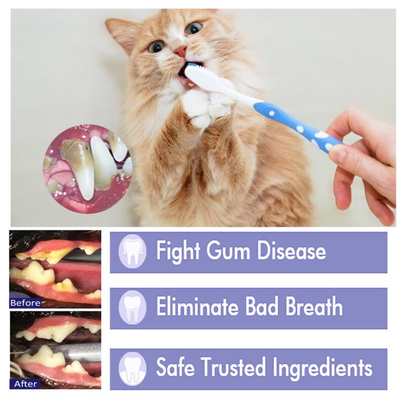 Yegbong Pet V34 Toothpaste for Bad Breath, Tartar Control & Gum Care - Image 3