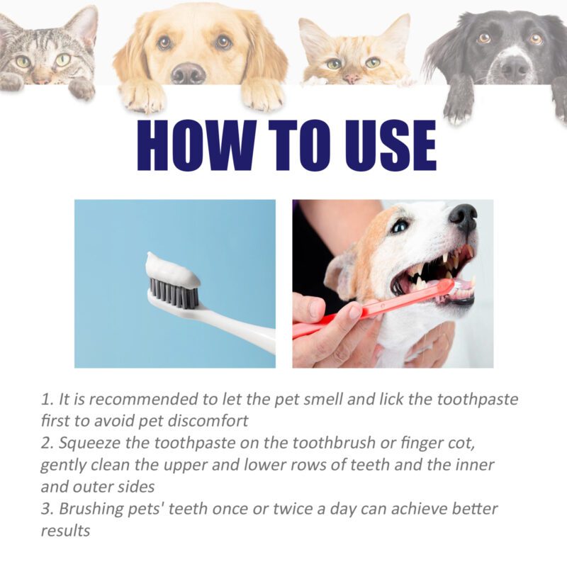 Yegbong Pet V34 Toothpaste for Bad Breath, Tartar Control & Gum Care - Image 6