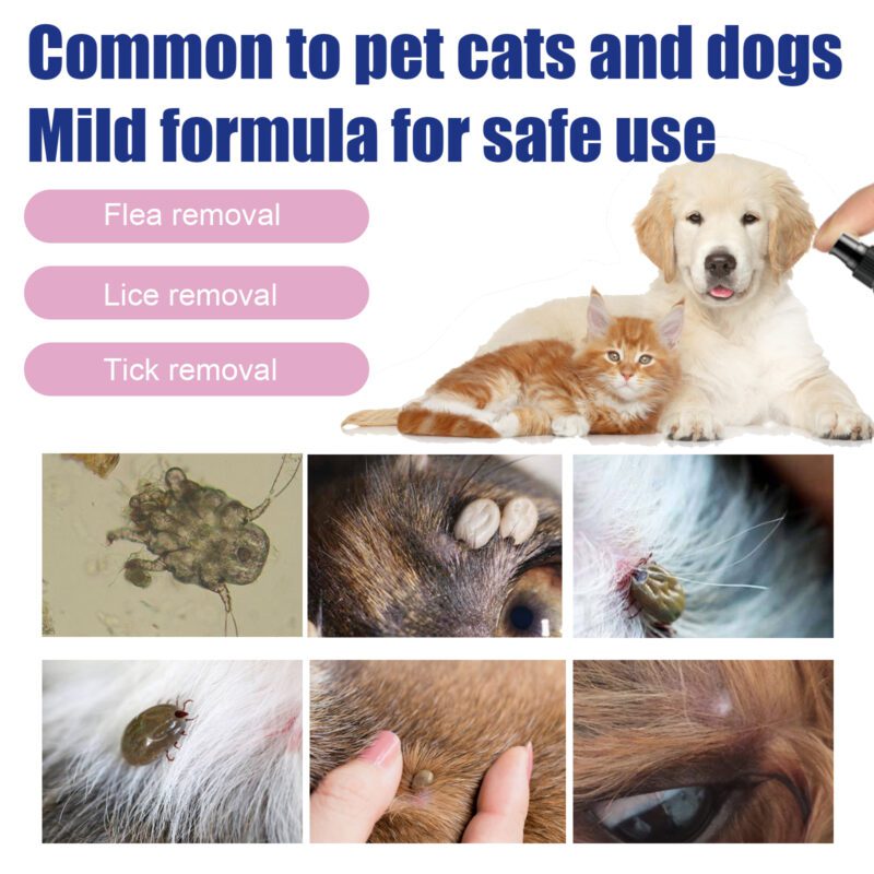 Yegbong Natural Flea and Tick Spray for Dogs and Cats - Skin Cleansing & Anti-Itch Relief - Image 4