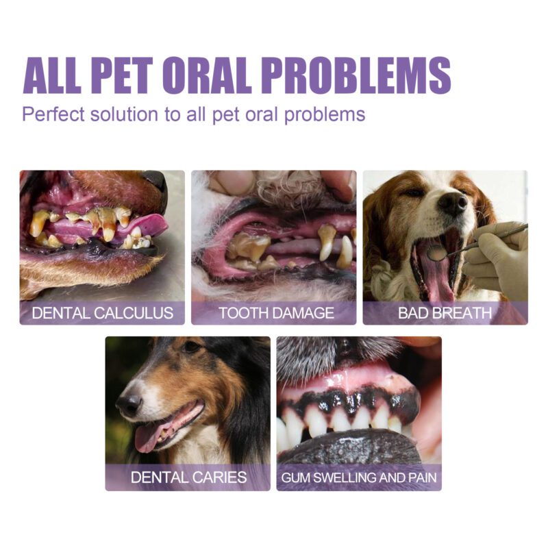 Yegbong Pet Oral Care Gel (2-Pack) for Dog & Cat Teeth Stains - Promotes Oral Health - Image 4