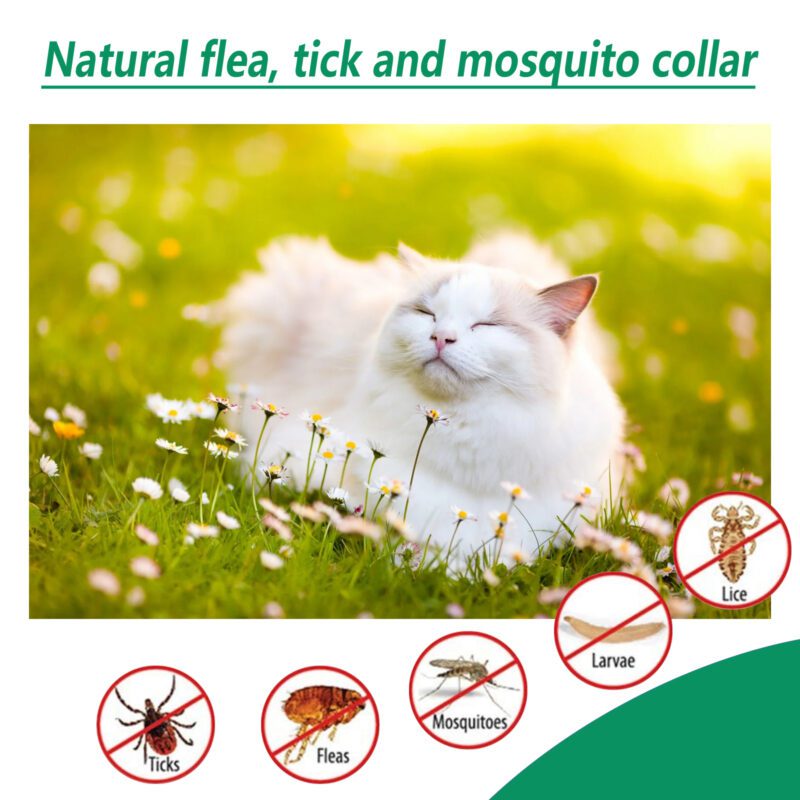 Yegbong Natural Flea and Tick Repellent Collar for Pets - Waterproof, Adjustable - Image 4