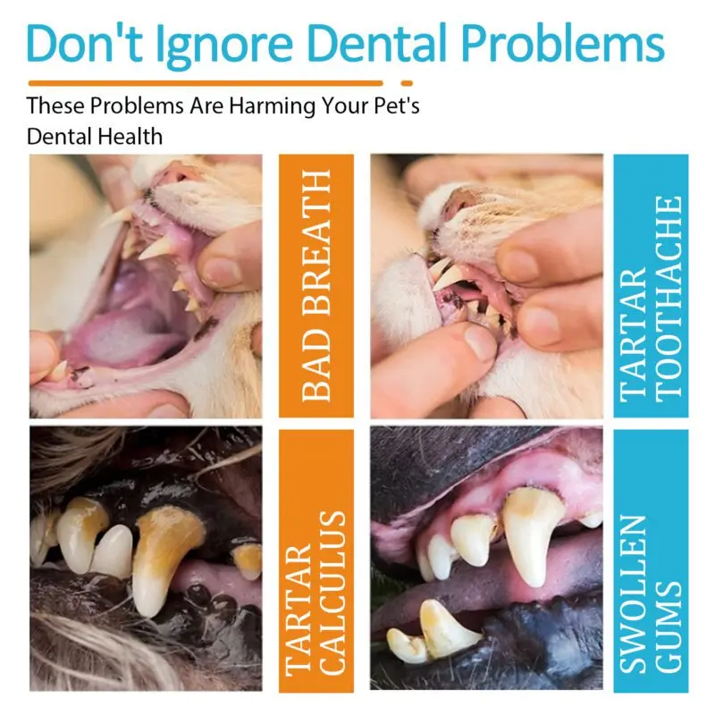 Yegbong Dog and Cat Dental Cleaning Gloves - Freshen Breath, Reduce Plaque & Tartar - Image 3