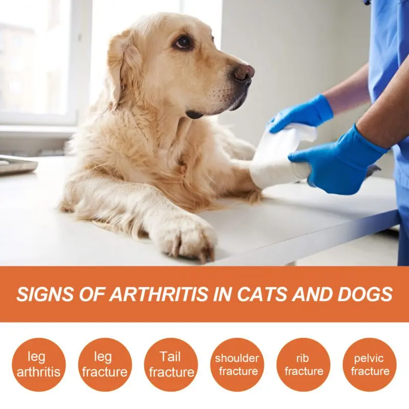 Yegbong Pet Joint Support Spray - For Joint Discomfort and Muscle Care in Pets - Image 3