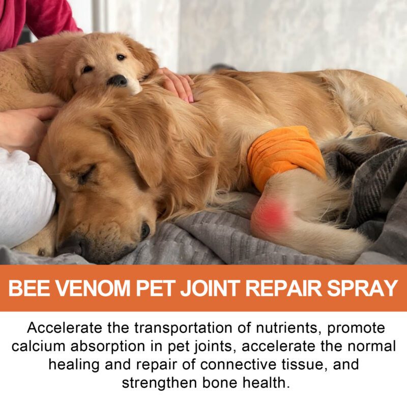 Yegbong Pet Joint Support Spray - For Joint Discomfort and Muscle Care in Pets - Image 4