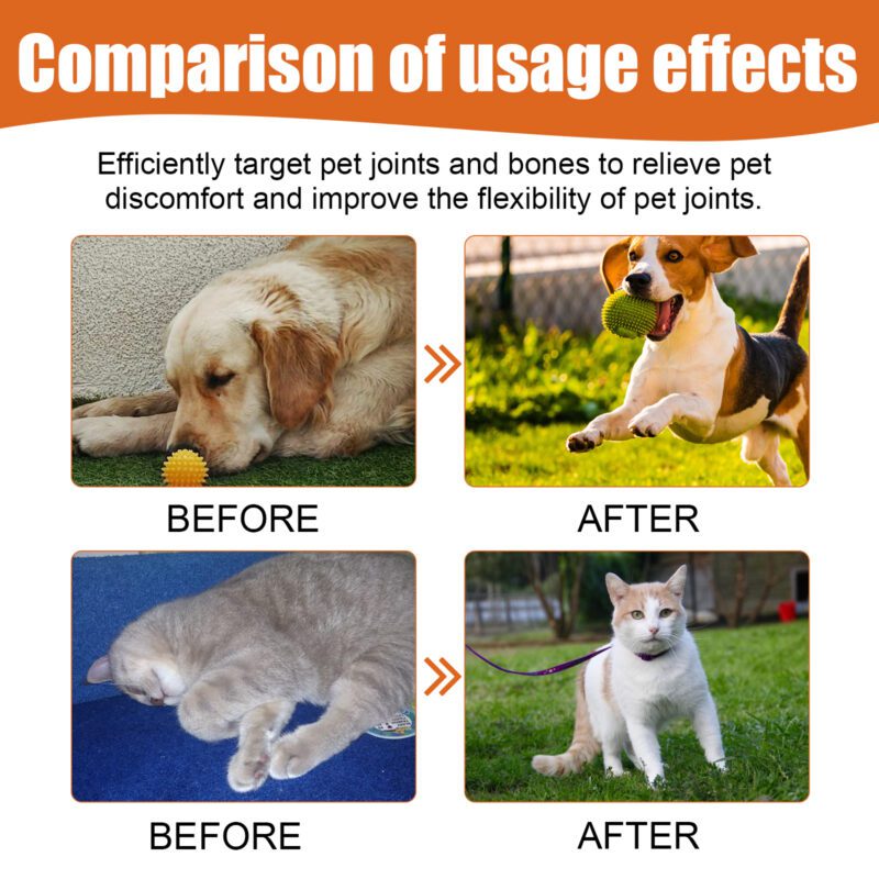 Yegbong Bee Venom Oil for Dogs and Cats - Joint Care Formula for Joint Health Support - Image 3