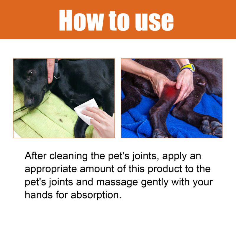 Yegbong Bee Venom Oil for Dogs and Cats - Joint Care Formula for Joint Health Support - Image 6