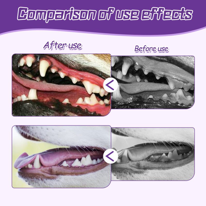 Yegbong Pet Toothbrush and Tongue Cleaner Set - Stain Removal, Oral Health Care - Image 3