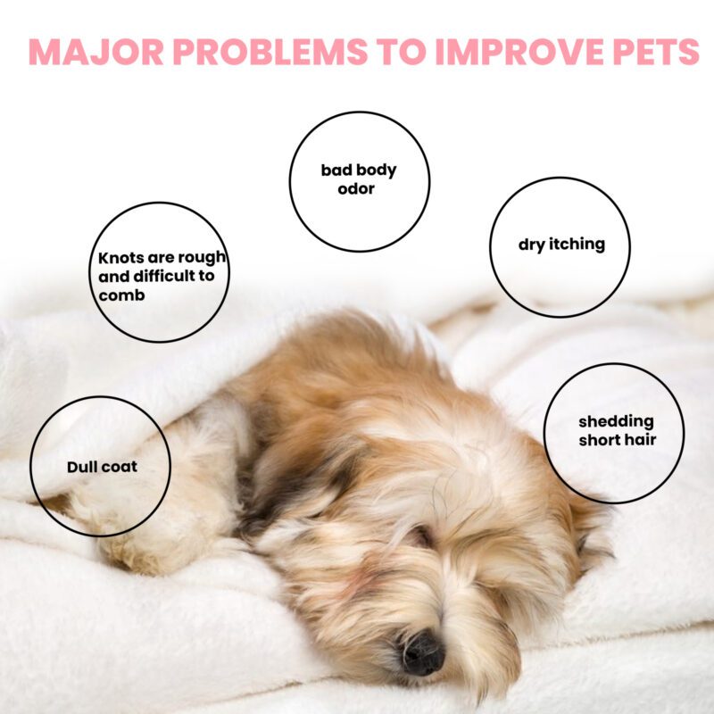 Yegbong Gentle Pet Soap for Cats & Dogs - Soothes Itchy Skin, Deep Cleaning for Soft Fur - Image 3