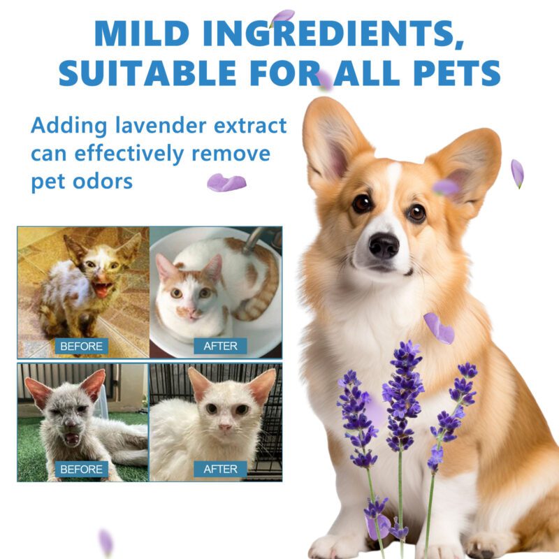 Yegbong Pet Leave-In Serum Set for Cats & Dogs: Gentle Cleansing & Nourishing - Image 4