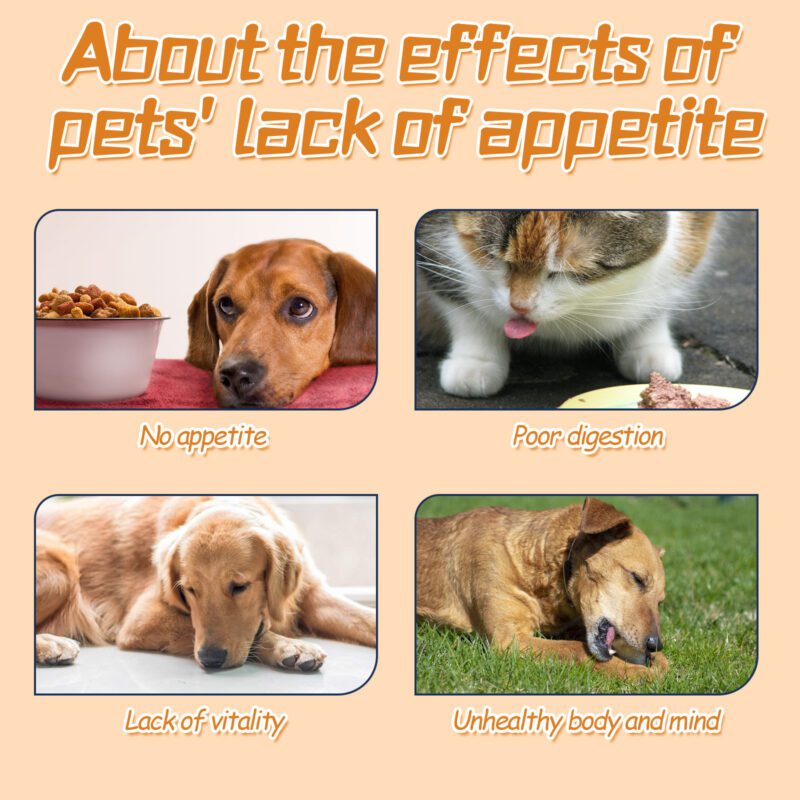 Yegbong All-Pet Essential Drops: Nutrient Supplement for Pet Wellness - Image 3