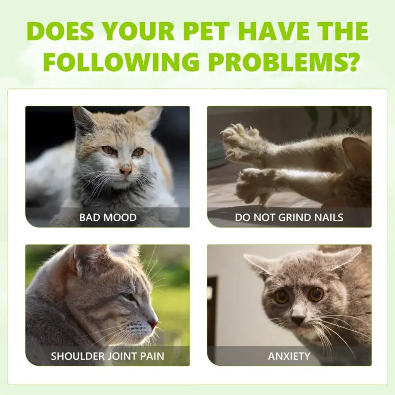Yegbong Catnip Calming Spray for Cats - Soothe Anxiety and Promote Relaxation - Image 4