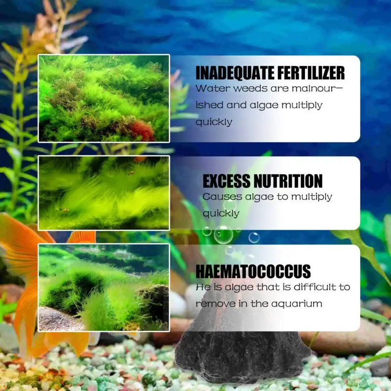 Yegbong Dealgal Aquarium Algae Remover - Fish Tank Cleaner for Moss and Green Water Control - Image 4