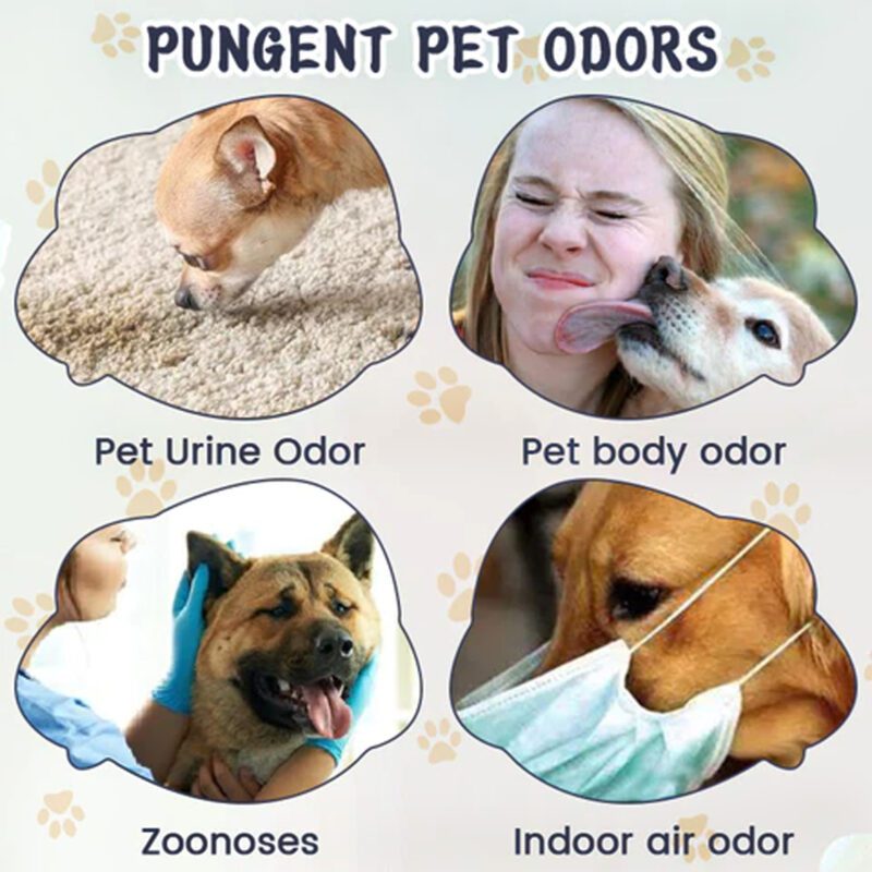Yegbong Pet Odor & Stain Eliminator for Dogs and Cats - Indoor Fresh Deodorizer - Image 3