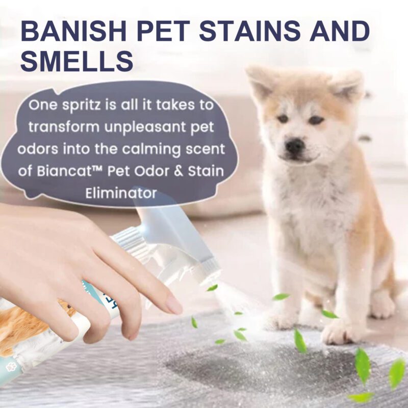 Yegbong Pet Odor & Stain Eliminator for Dogs and Cats - Indoor Fresh Deodorizer - Image 4