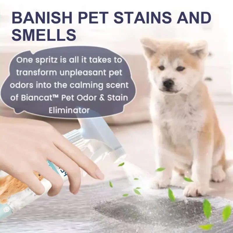 Yegbong Pet Odor & Stain Eliminator for Dogs and Cats - Indoor Fresh Deodorizer - Image 4