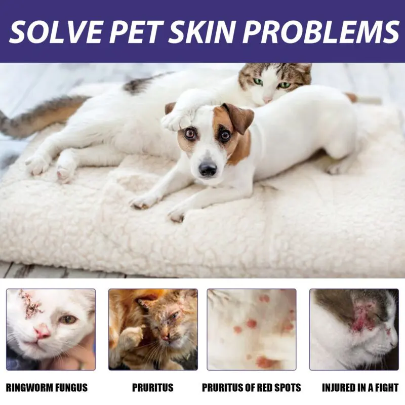 Yegbong Pet Skin Care Spray for Dogs & Cats - Anti-Itch & Skin Relief - Image 3