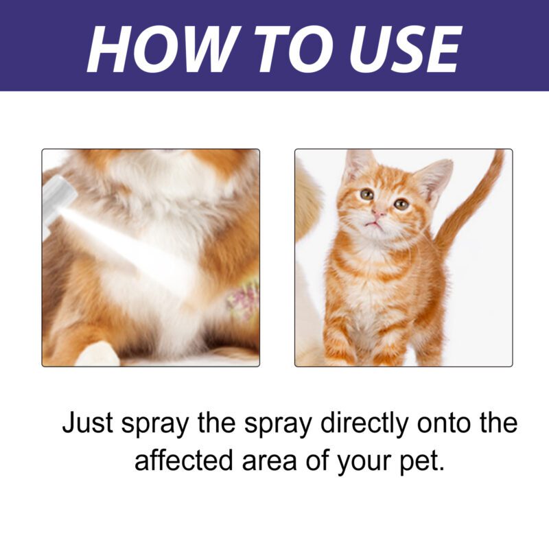 Yegbong Pet Skin Care Spray for Dogs & Cats - Anti-Itch & Skin Relief - Image 6