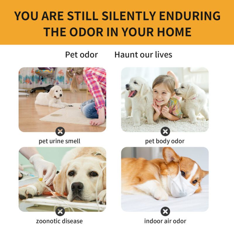 Yegbong Pet Fabric Deodorizer Spray - Eliminate Pet Odors from Sofas, Carpets & Air - Image 4