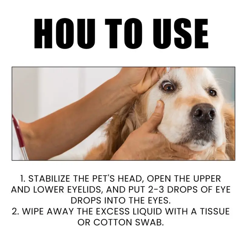 Yegbong Gentle Pet Eye Drops for Cats & Dogs - Tear Stain and Dirt Remover - Image 6