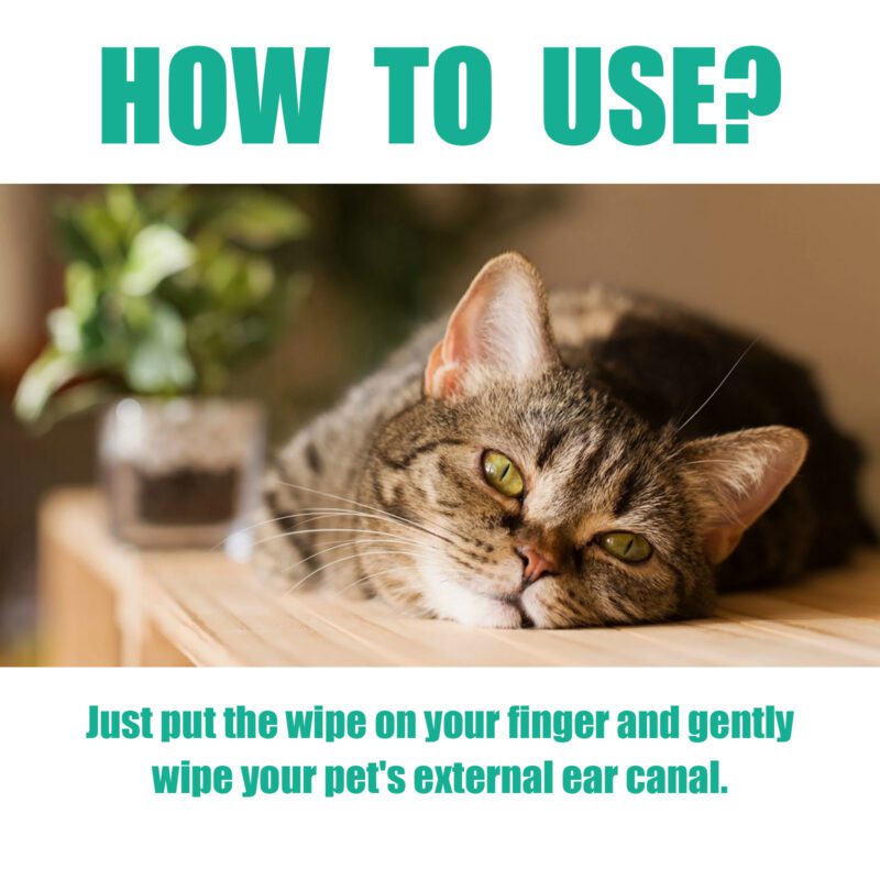 Yegbong Pet Ear, Eye, and Paw Cleaning Finger Wipes - Gentle Dirt Removal and Deodorizing - Image 6