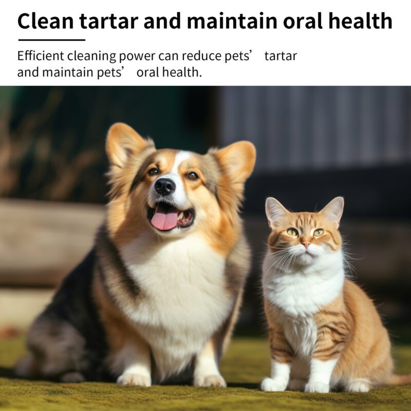 Yegbong Pet Mint Fresh Breath Spray for Dogs and Cats - Reduce Bad Breath, Oral Care - Image 4