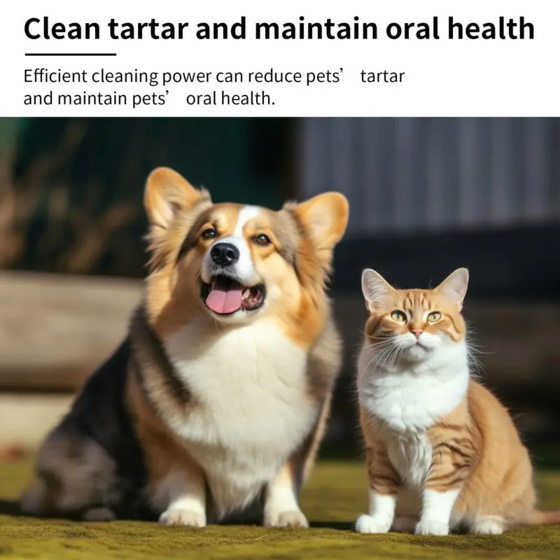 Yegbong Pet Mint Fresh Breath Spray for Dogs and Cats - Reduce Bad Breath, Oral Care - Image 4