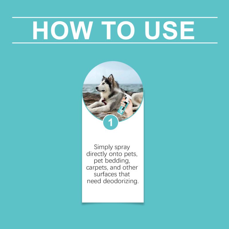 Yegbong Pet Deodorant Spray - Odor Elimination, Long-Lasting Fragrance - Image 6