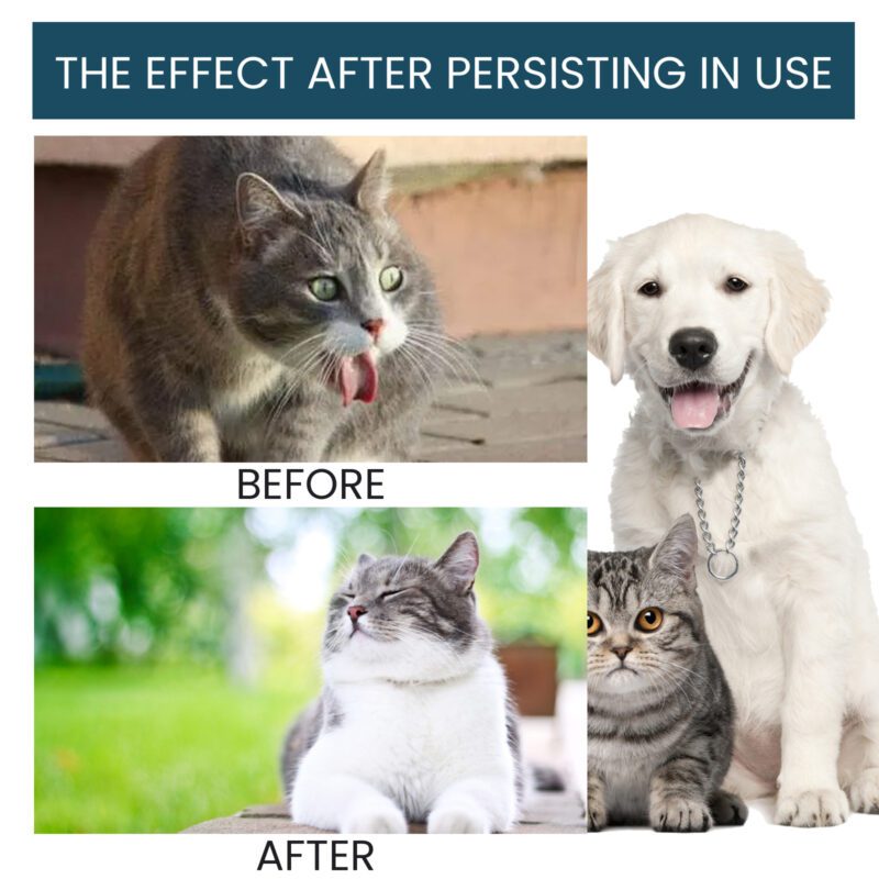 Yegbong Pet Immune Support Oral Drops - Supplement for Cats and Dogs - Image 4