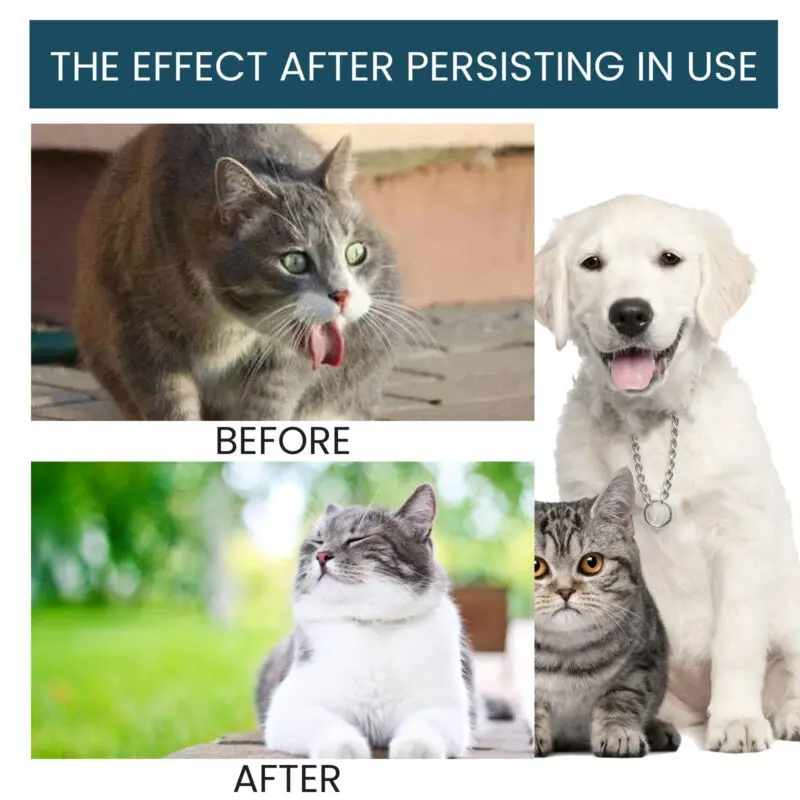Yegbong Pet Immune Support Oral Drops - Supplement for Cats and Dogs - Image 4