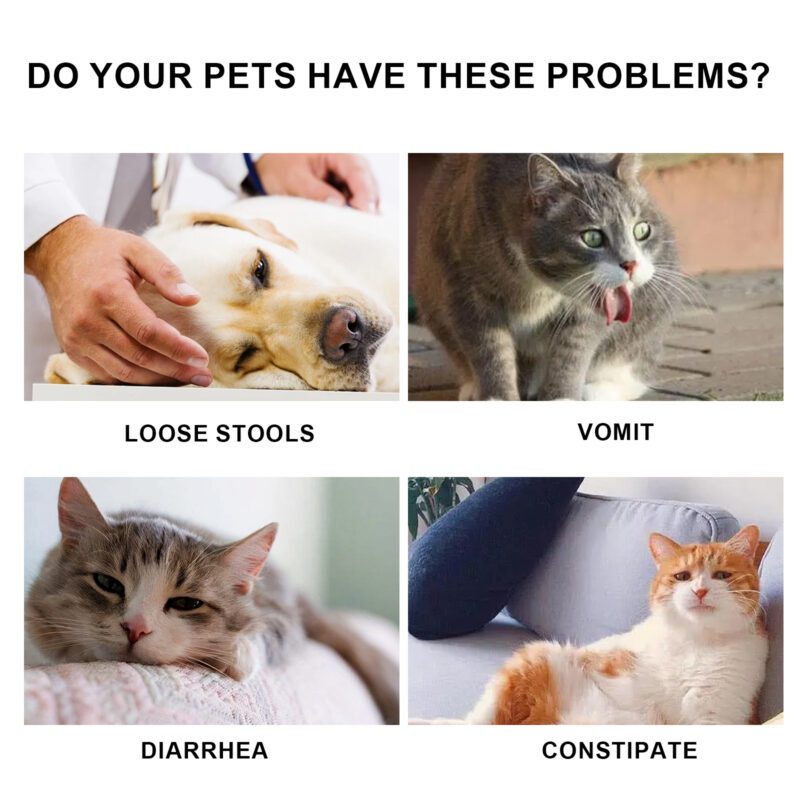 Yegbong Pet Immune Support Oral Drops - Supplement for Cats and Dogs - Image 5