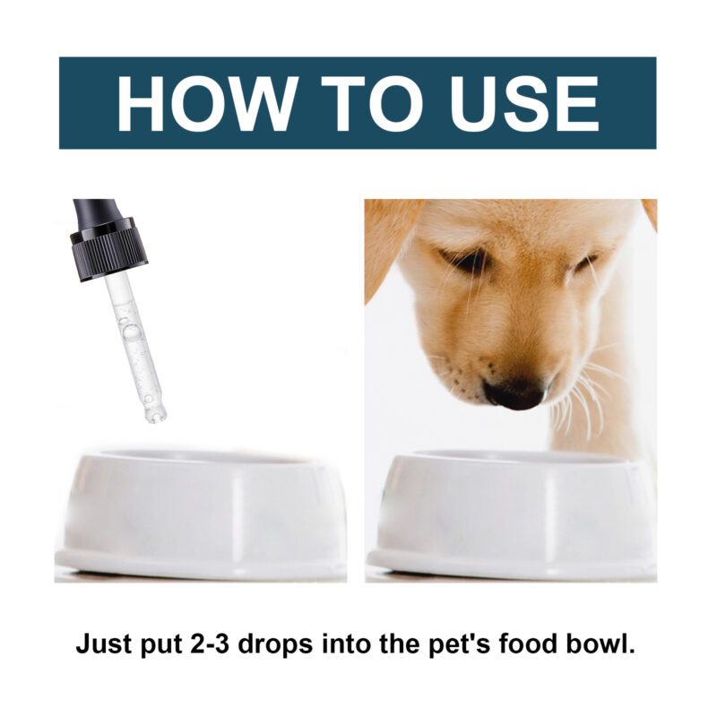 Yegbong Pet Immune Support Oral Drops - Supplement for Cats and Dogs - Image 6