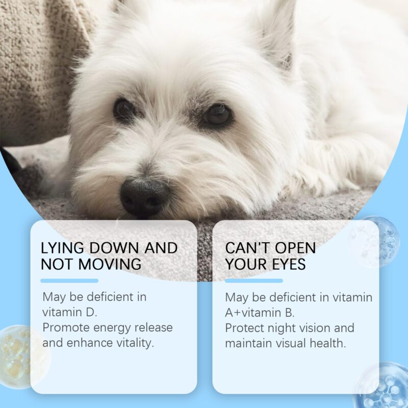 Yegbong Dog Multivitamin Tablets - Nutritional Health Supplements - Image 3