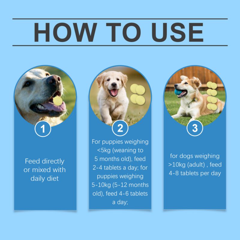 Yegbong Dog Multivitamin Tablets - Nutritional Health Supplements - Image 6