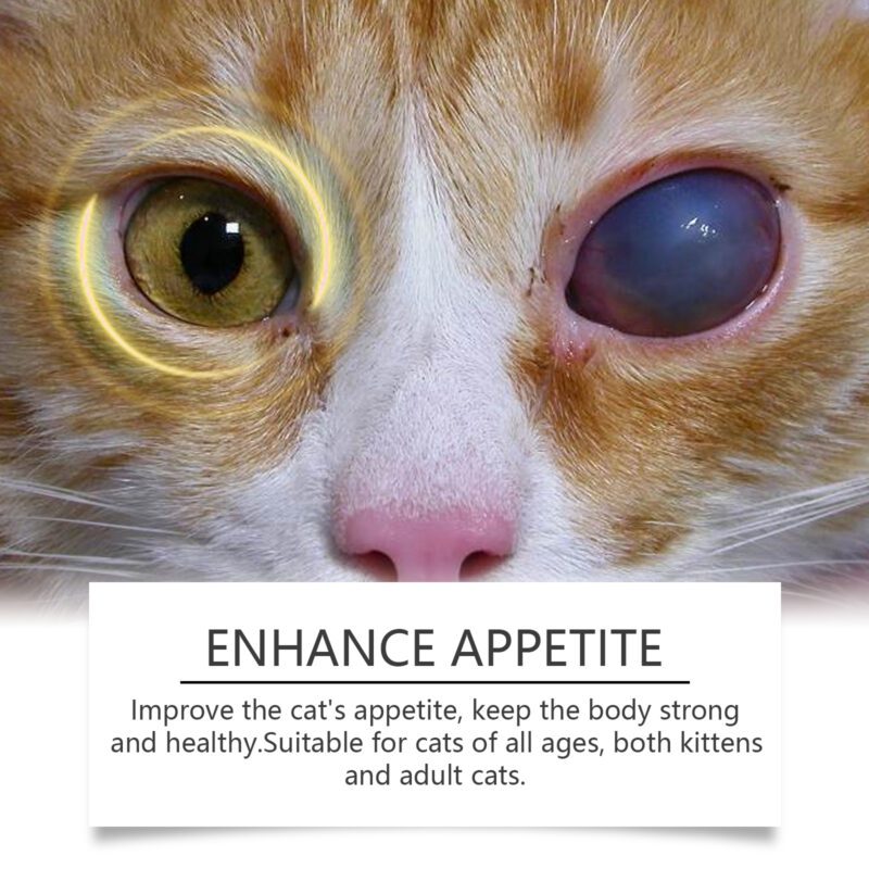 Yegbong Premium Taurine Tablets for Cats - Feline Nutritional Supplement - Image 3