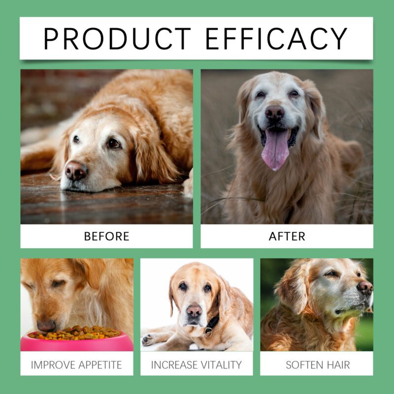 Yegbong Senior Dog Multivitamin Tablets - Nutrition Support for Elderly Pets - Image 3